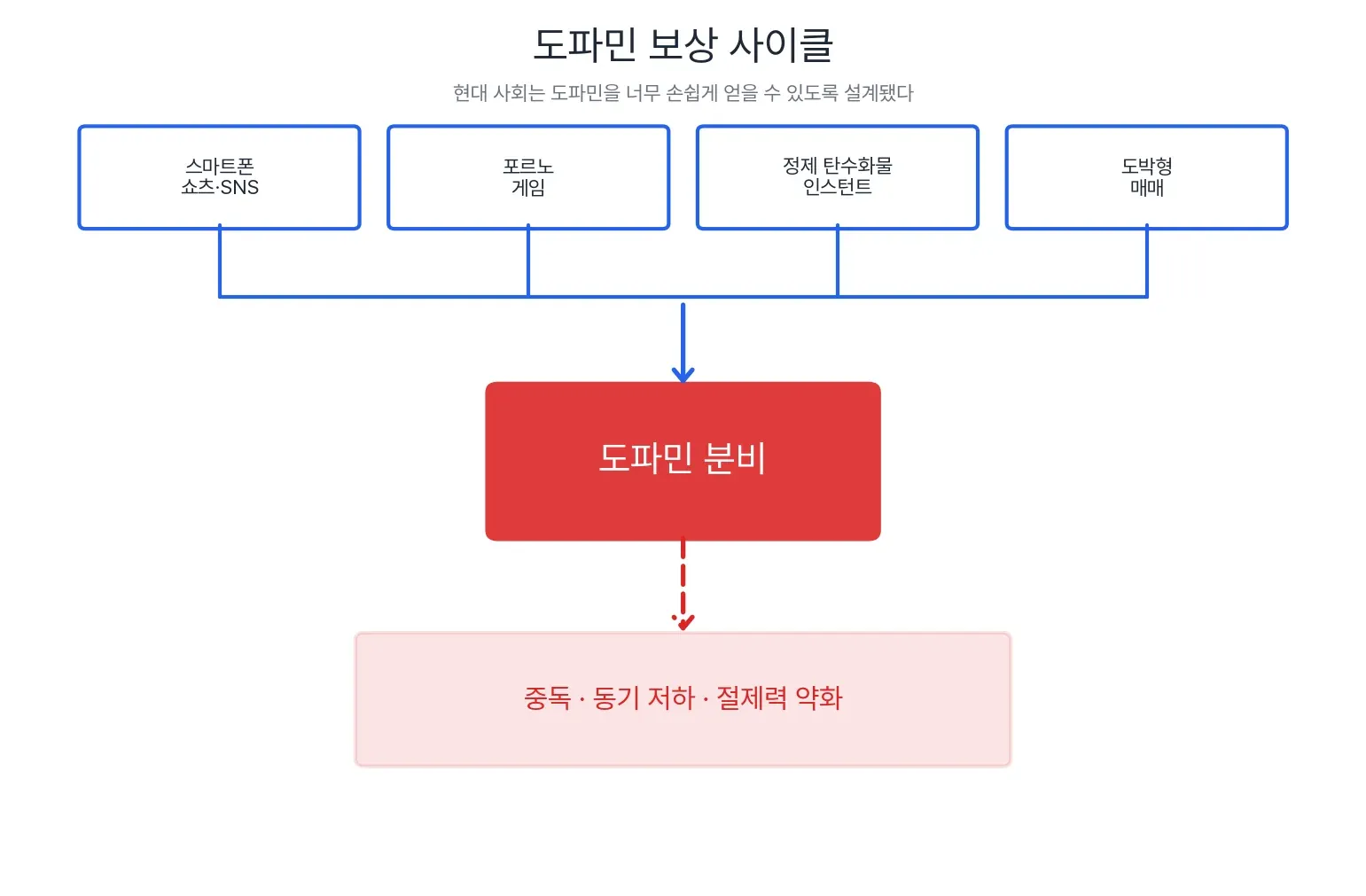 도파민 보상 사이클 — 자극과 중독의 메커니즘