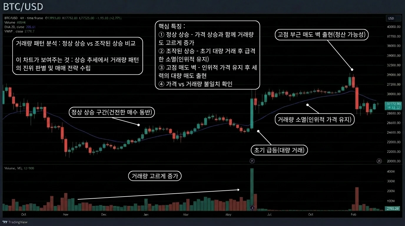 정상 상승과 조작 상승의 볼륨 패턴 비교